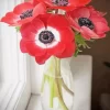 Red Anemone Vase Diamond Painting