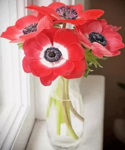 Red Anemone Vase Diamond Painting