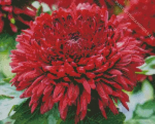 Red Chrysanthemum Diamond Painting