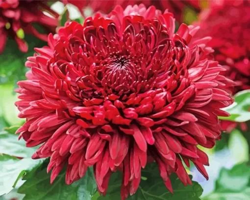 Red Chrysanthemum Diamond Painting