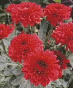 Red Chrysanthemum Flowers Diamond Painting