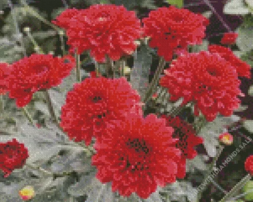 Red Chrysanthemum Flowers Diamond Painting