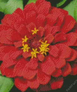 Red Common Zinnia Diamond Painting