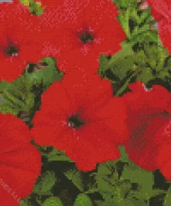 Red Petunia Diamond Painting