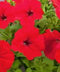 Red Petunia Diamond Painting