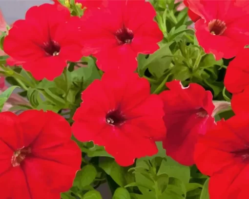 Red Petunia Diamond Painting