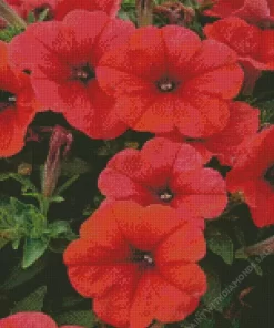 Red Petunia Flowers Diamond Painting