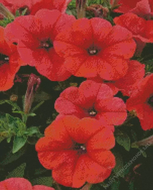 Red Petunia Flowers Diamond Painting