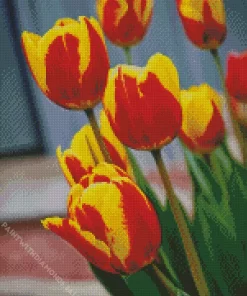 Red And Yellow Tulips Diamond Painting