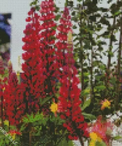 Red Lupine Plants Diamond Painting