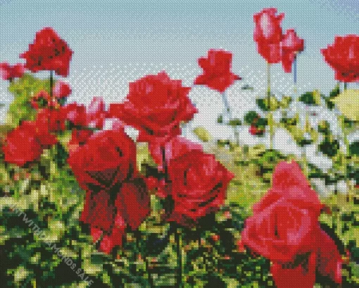 Red Roses Diamond Painting