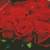 Red Roses Art Diamond Painting