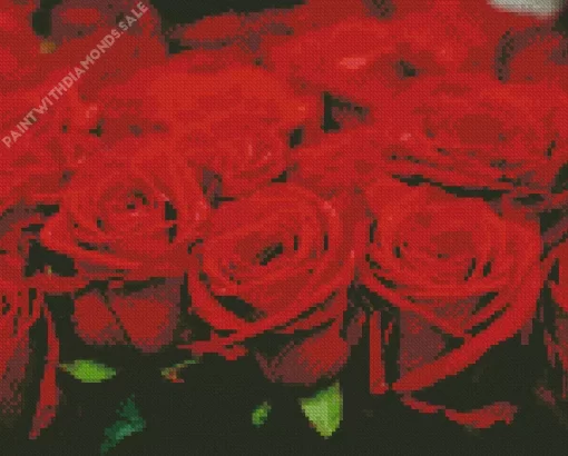 Red Roses Art Diamond Painting