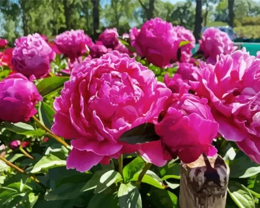 Red Sarah Bernhardt Peony Diamond Painting