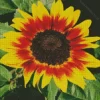 Ring Of Fire Sunflower Diamond Painting