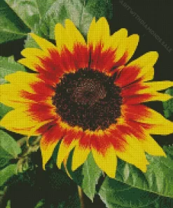 Ring Of Fire Sunflower Diamond Painting