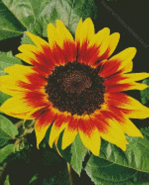 Ring Of Fire Sunflower Diamond Painting