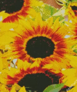 Ring Of Fire Sunflower Field Diamond Painting