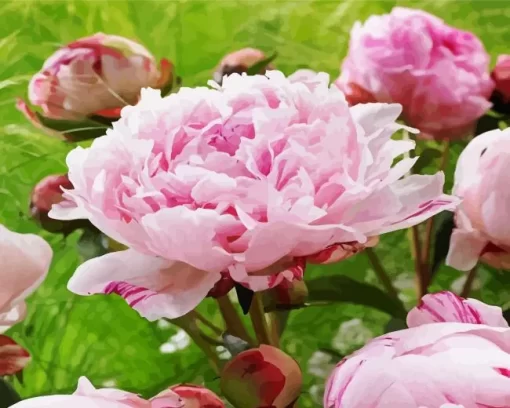 Sarah Bernhardt Peony Diamond Painting