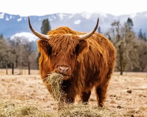 Scottish Highland Cow Diamond Painting