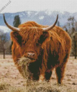 Scottish Highland Cow Diamond Painting