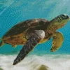 Sea Turtle In The Ocean Diamond Painting