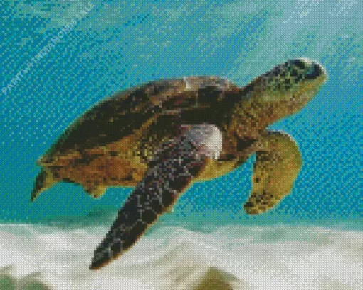 Sea Turtle In The Ocean Diamond Painting