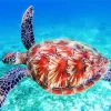 Sea Turtle Swimming Diamond Painting