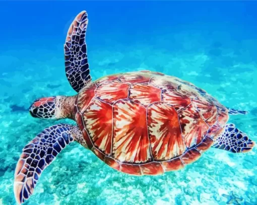 Sea Turtle Swimming Diamond Painting