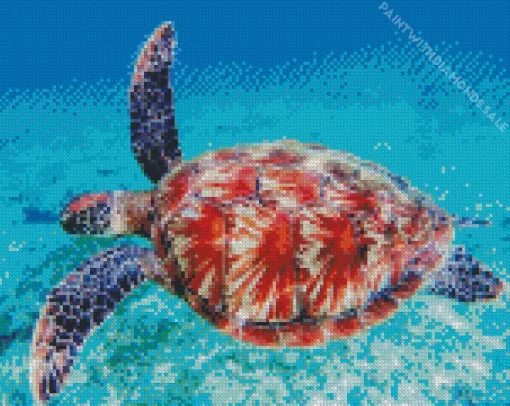 Sea Turtle Swimming Diamond Painting