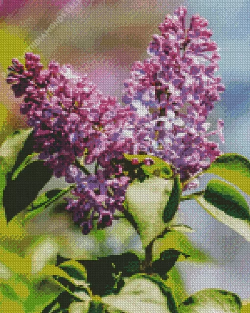 Soft Lilacs Diamond Painting