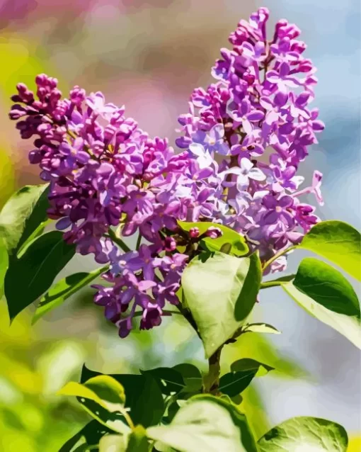 Soft Lilacs Diamond Painting