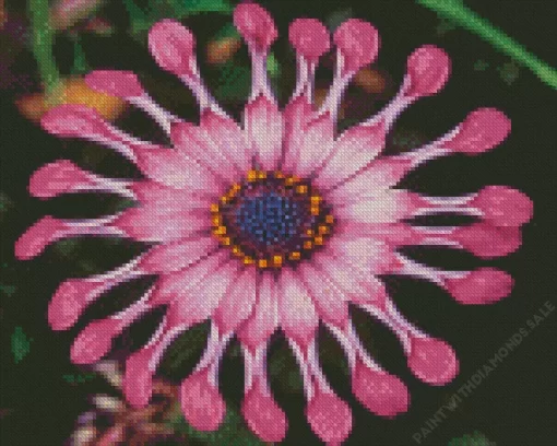 Spider Pink African Daisy Diamond Painting