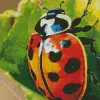 Spotted Ladybug Diamond Painting