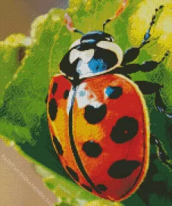 Spotted Ladybug Diamond Painting