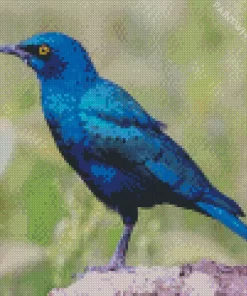 Starling Blue Bird Diamond Painting