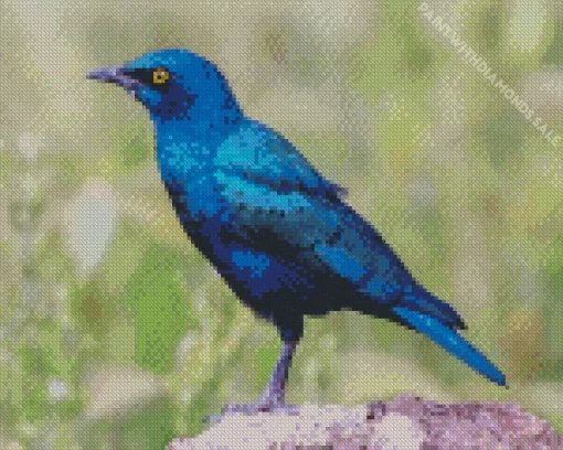 Starling Blue Bird Diamond Painting