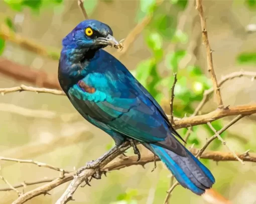 Starling Blue Bird On Branch Diamond Painting