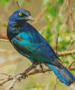 Starling Blue Bird On Branch Diamond Painting