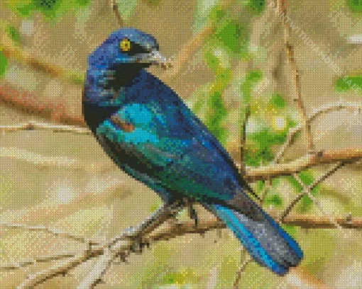 Starling Blue Bird On Branch Diamond Painting