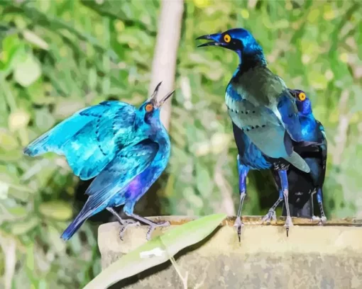 Starling Blue Bird Pair Diamond Painting