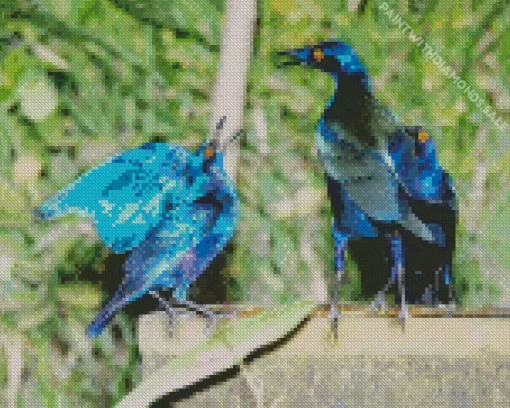 Starling Blue Bird Pair Diamond Painting