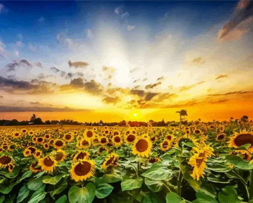 Sunflower Field Diamond Painting