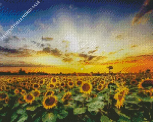 Sunflower Field Diamond Painting