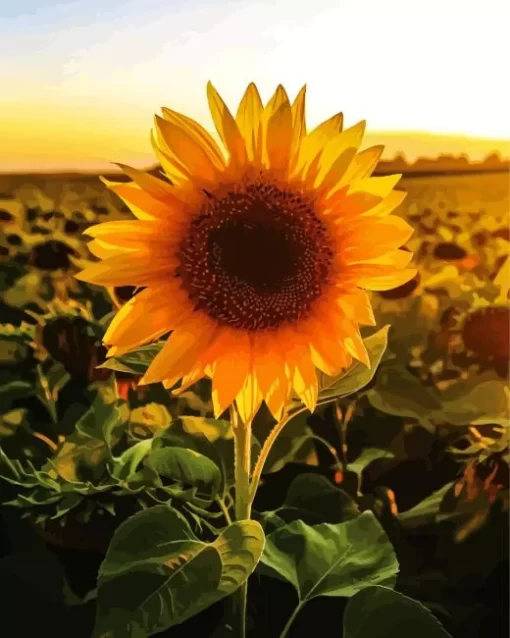 Sunflower Field Sunrise Diamond Painting