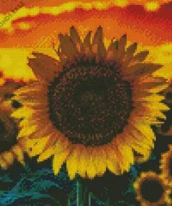 Sunflower Field Sunset Diamond Painting