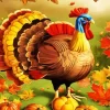 Thanksgiving Turkey Art Diamond Paintings