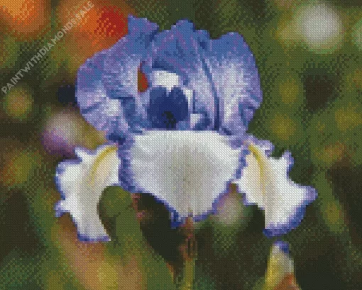 The Bearded Iris Diamond Painting