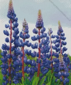 The Governor Purple Lupine Diamond Painting