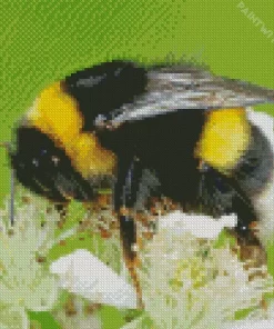 The Life Of Bumblebees Diamond Painting